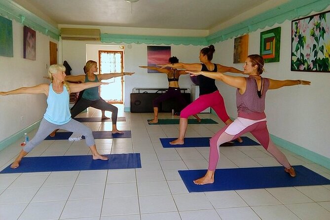 Yoga and Meditation, Group or Private Sessions in Nevis - What the 90-minute class may include