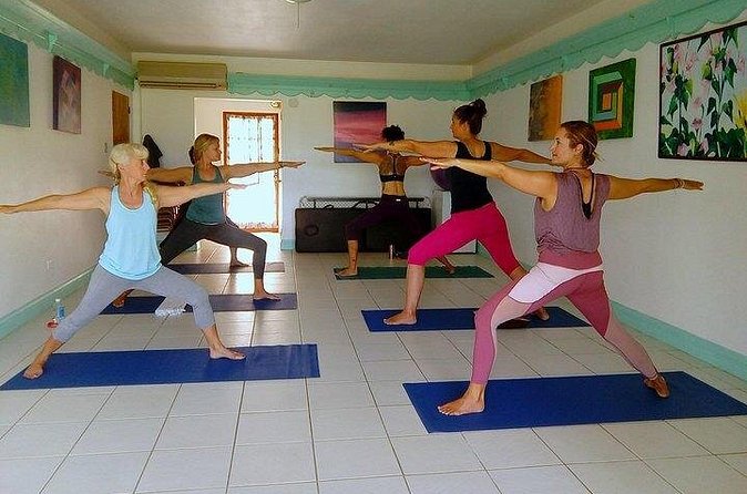 Yoga and Meditation, Group or Private Sessions in Nevis - What the praise tells you about the teaching